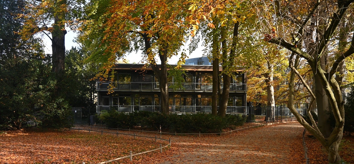 Bürogebäude aus Holz auf der Liegenschaft des Bundespräsidialamtes, Berlin - Bild 1